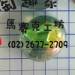 已下架 貓眼半珠( 綠色 )100克裝Z1014